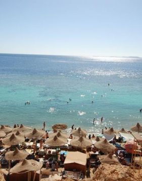 DIVE INN RESORT