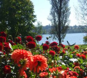 Бодензее - Баварски замъци - Залцбург - Мюнхен