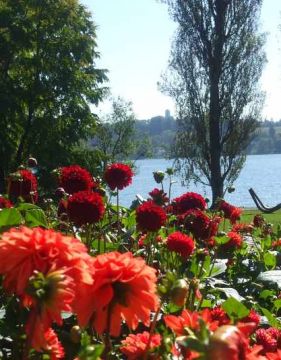 Настаняване в 2* или 3*