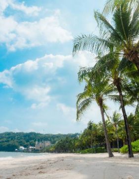 Настаняване в 4* или 5*