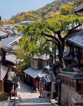 Настаняване в хотел 3*