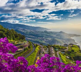 МАДЕЙРА – ЦВЕТНАТА ГРАДИНА НА ПОРТУГАЛИЯ