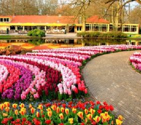 Великден в Истанбул, Турция - Фестивал на лалетата с автобус от Русе и Велико Търново - 3 нощувки