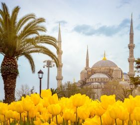 Фестивал на лалетата в Истанбул, Турция с автобус от София - 3 нощувки