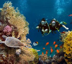 Почивка в Кайро и Шарм ел Шейх, Египет със самолет от София - кацане в Кайро и връщане от Шарм ел Шейх