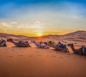 Средиземноморски Шепот - От Малага до Маракеш с полет от София 02.04