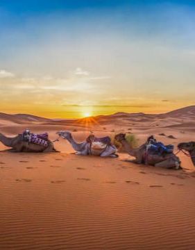 Настаняване по програмата