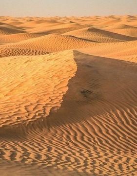 Настаняване по програмата