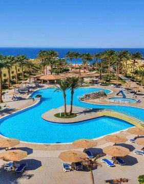 Palm Beach Resort Standard