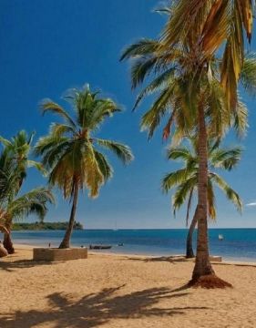 ORANGEA BEACH RESORT