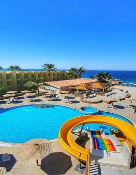 Palm Beach Resort Standard