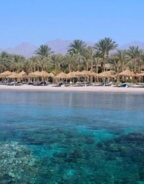JAZ SHARM DREAMS RESORT